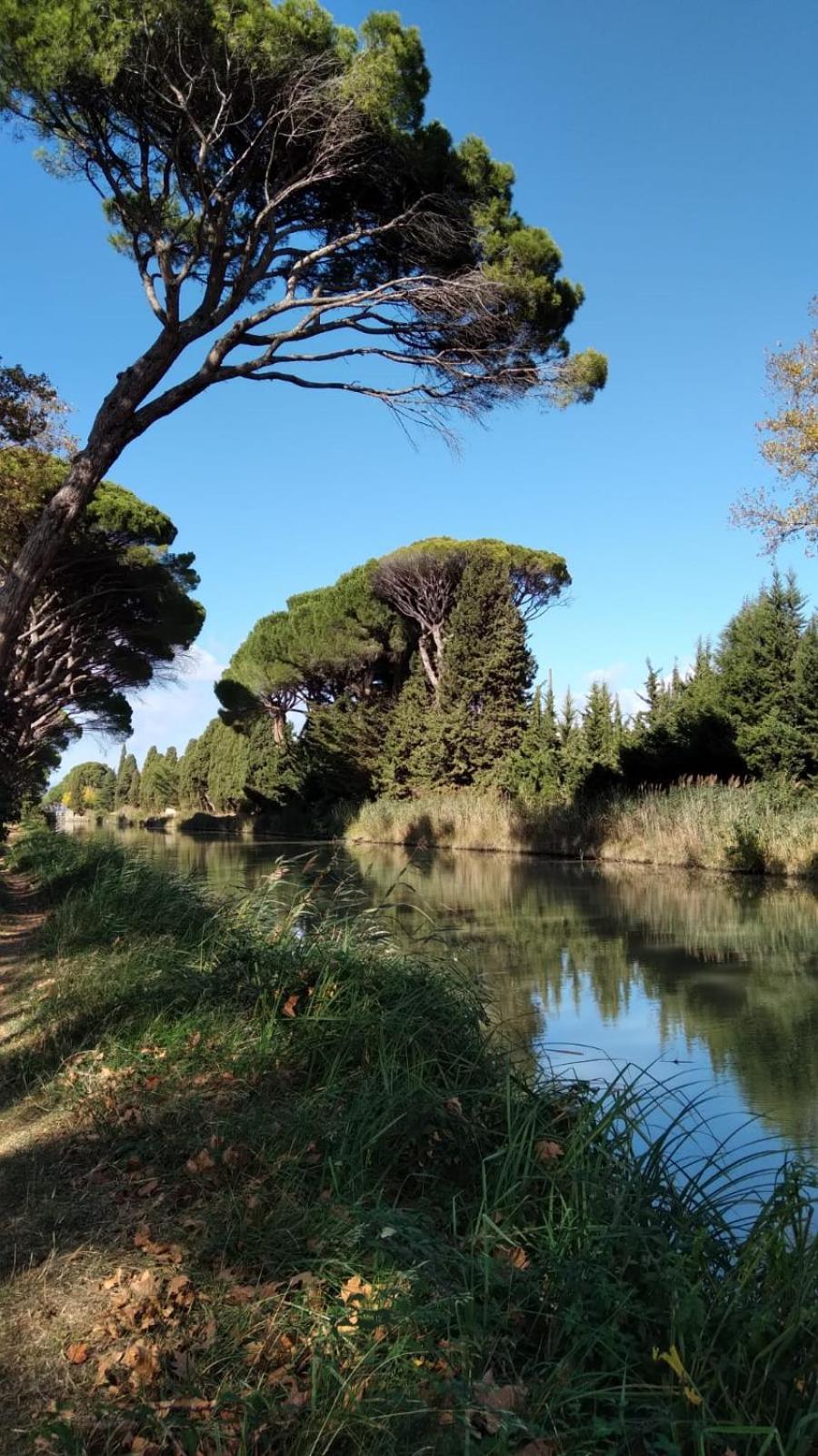 Apartament La Promesse De L Aude Sallèles-dʼAude Zewnętrze zdjęcie